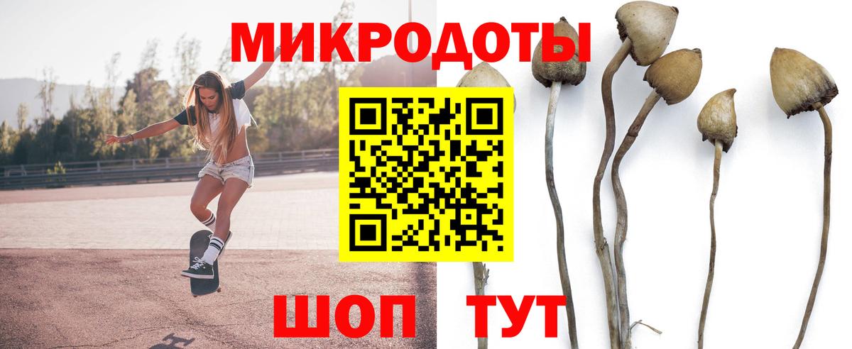 Псилоцибиновые грибы MAGIC MUSHROOMS Белгород