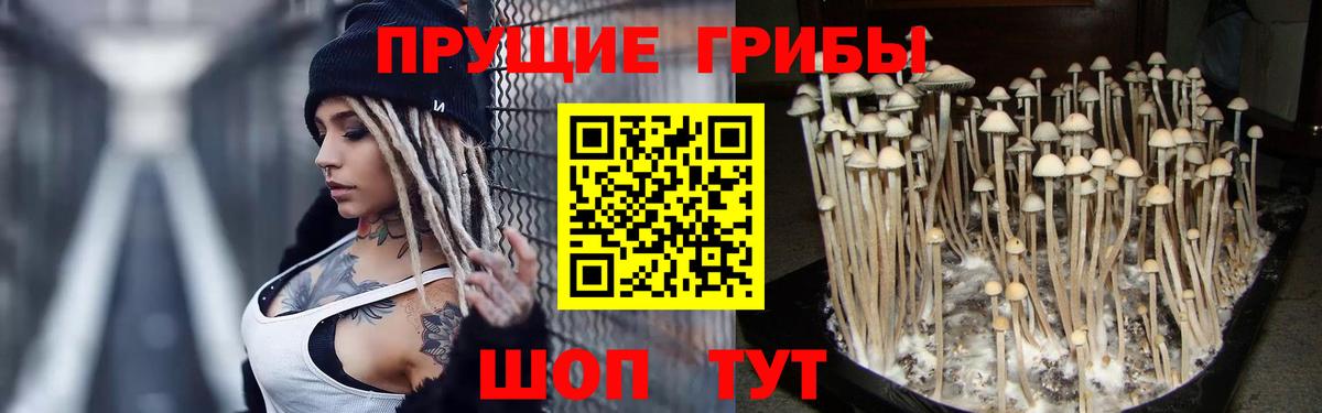 Галлюциногенные грибы Magic Shrooms  Псилоцибиновые грибы мухоморы  Вход с VPN  Белгород 